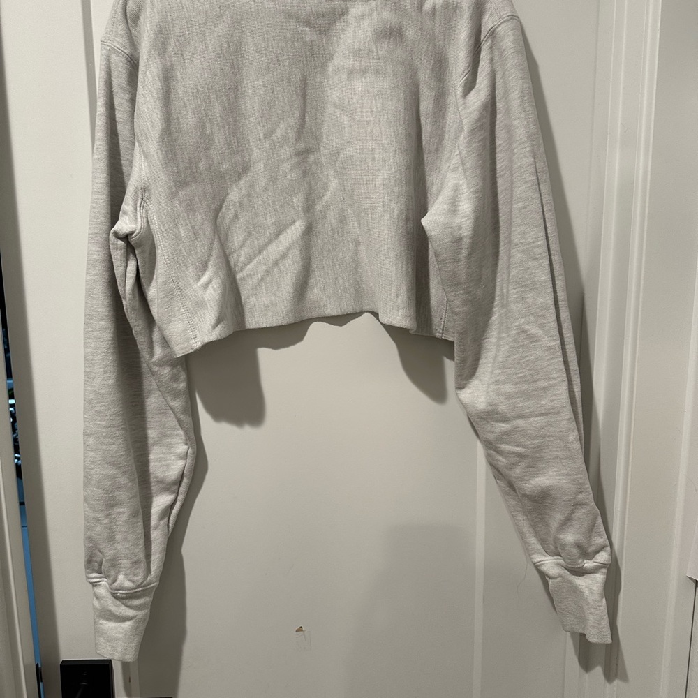 Champion Women's Gray Michigan Cropped Hoodie - Picture 5 of 5